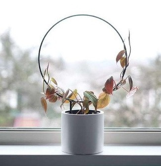 Plant Support